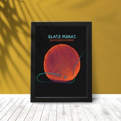 Quadro Black Pumas #3