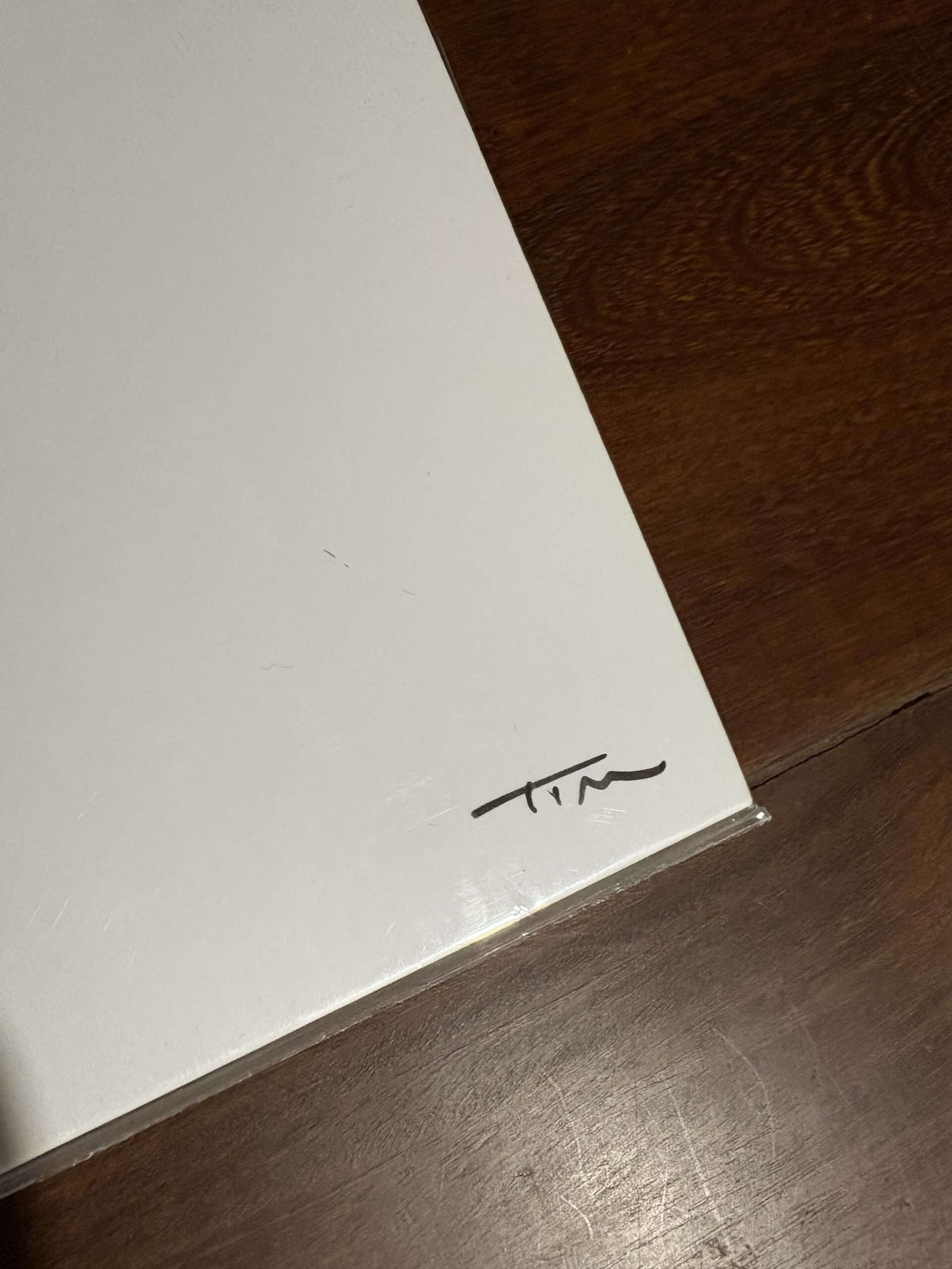 Lp O Terno - Atrás/Além (2019) Duplo Autografado pelo Tim Bernardes - Imagem 2