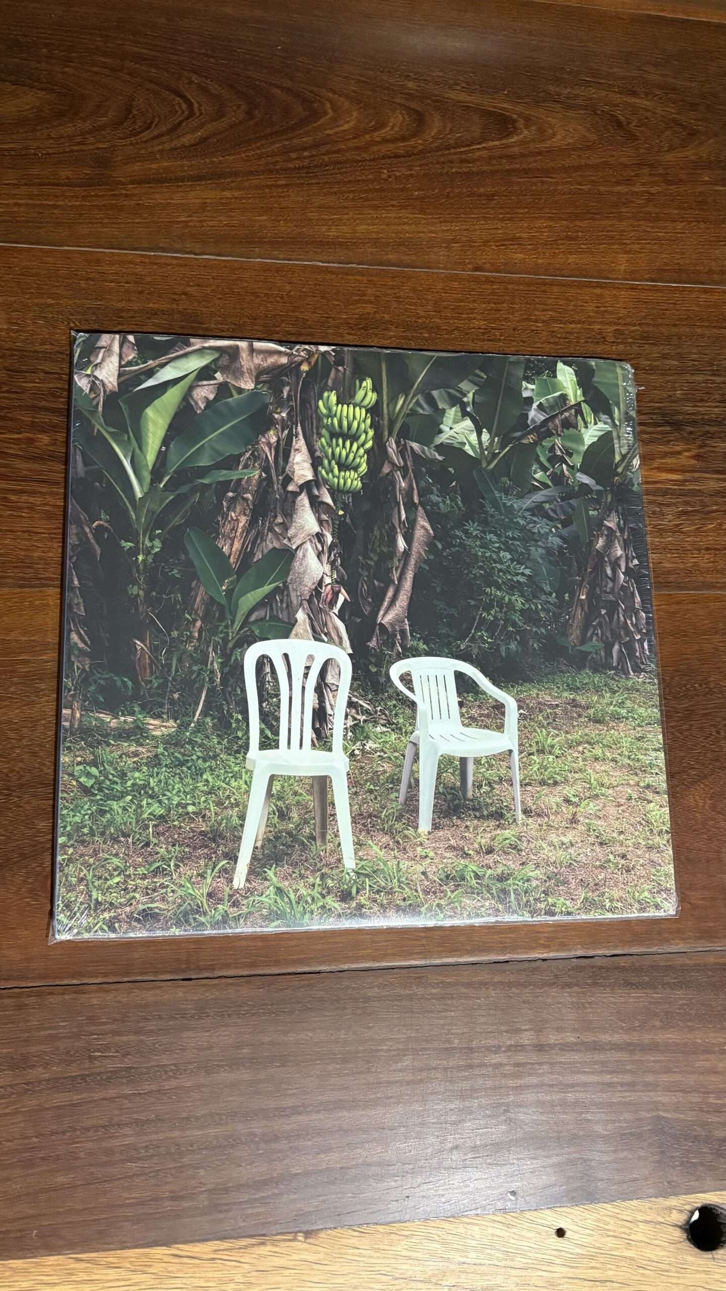 Lp Bad Bunny - Debí Tirar Más Fotos (2025) Lacrado Vinil Branco