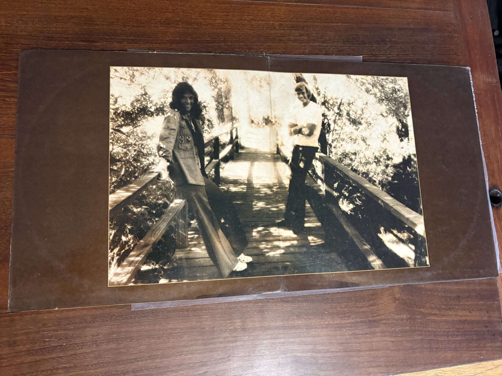 Lp Carpenters - The Singles 1969-1973 (1973) - Imagem 3