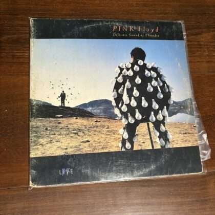 Lp Pink Floyd - Delicate Sound of Thunder (1988)