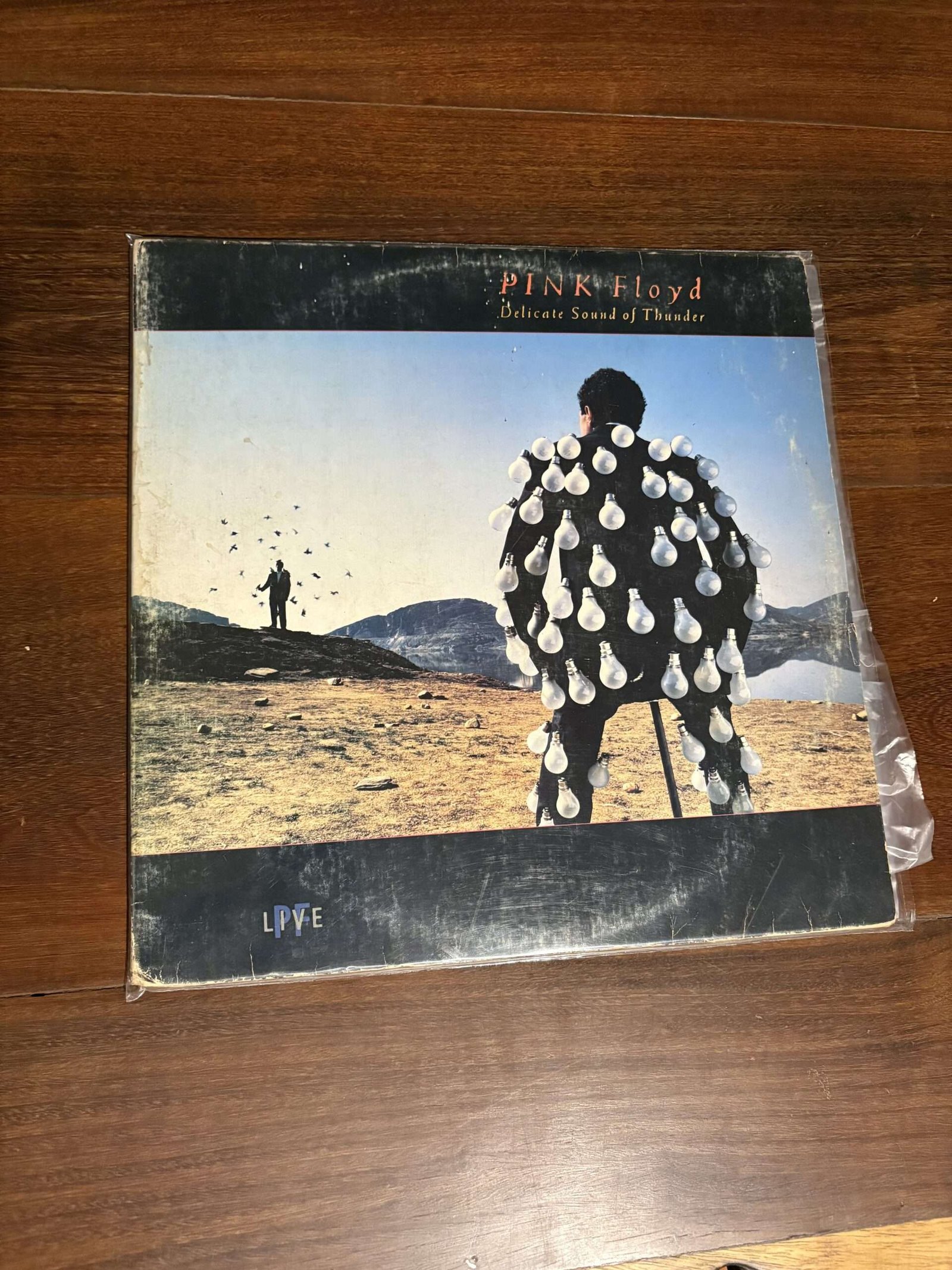 Lp Pink Floyd - Delicate Sound of Thunder (1988)