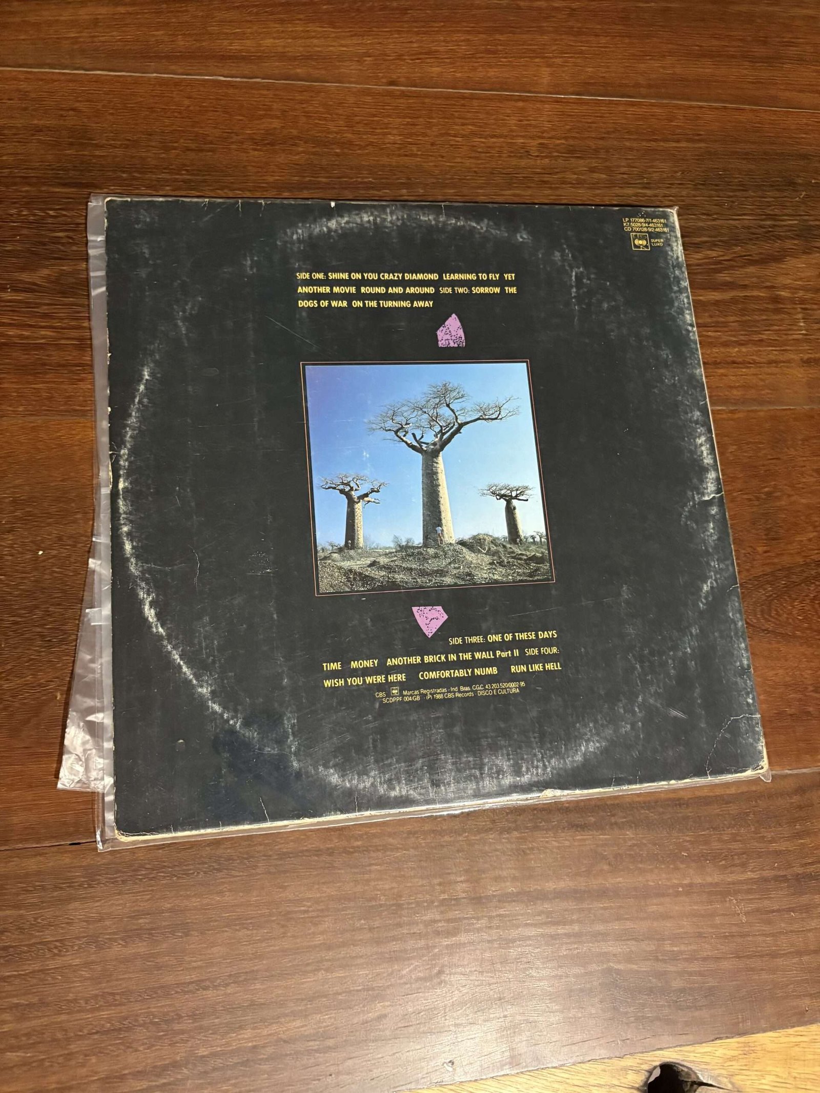 Lp Pink Floyd - Delicate Sound of Thunder (1988) - Imagem 2