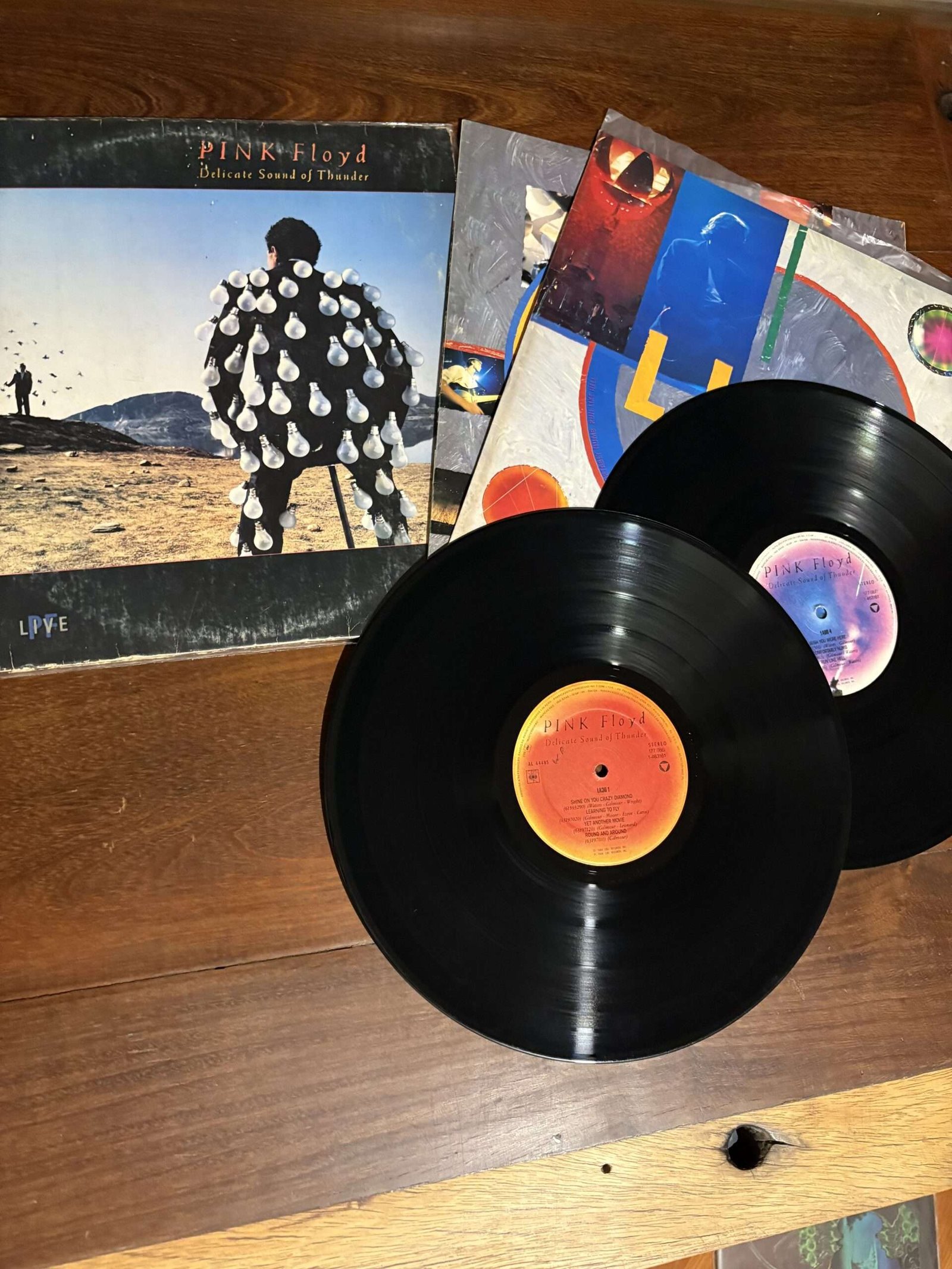 Lp Pink Floyd - Delicate Sound of Thunder (1988) - Imagem 4