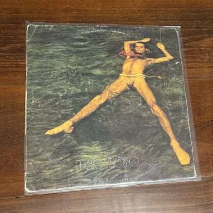Lp Ney Matogrosso - Mato Grosso (1982)