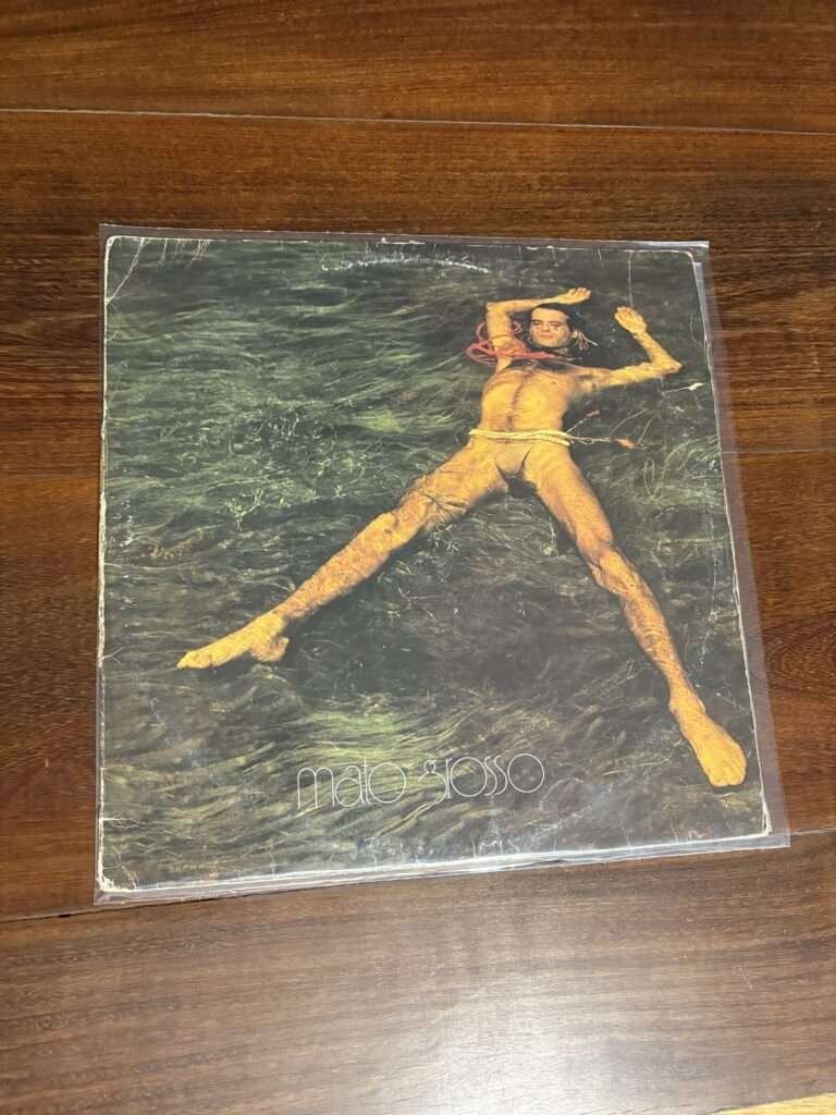 Lp Ney Matogrosso - Mato Grosso (1982)