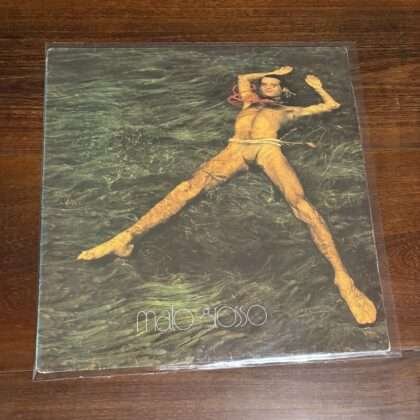 Lp Ney Matogrosso - Mato Grosso (1982)