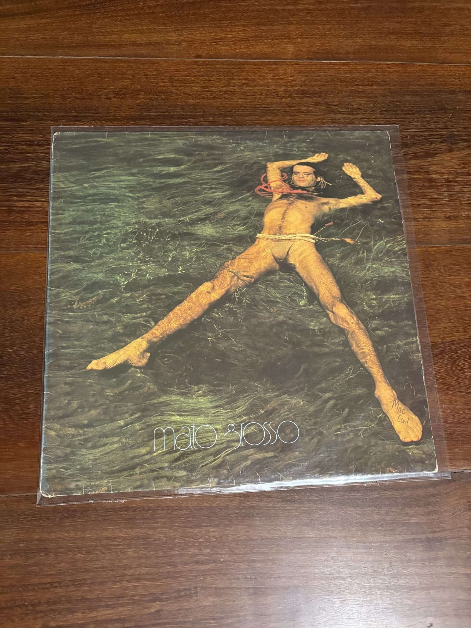 Lp Ney Matogrosso - Mato Grosso (1982)