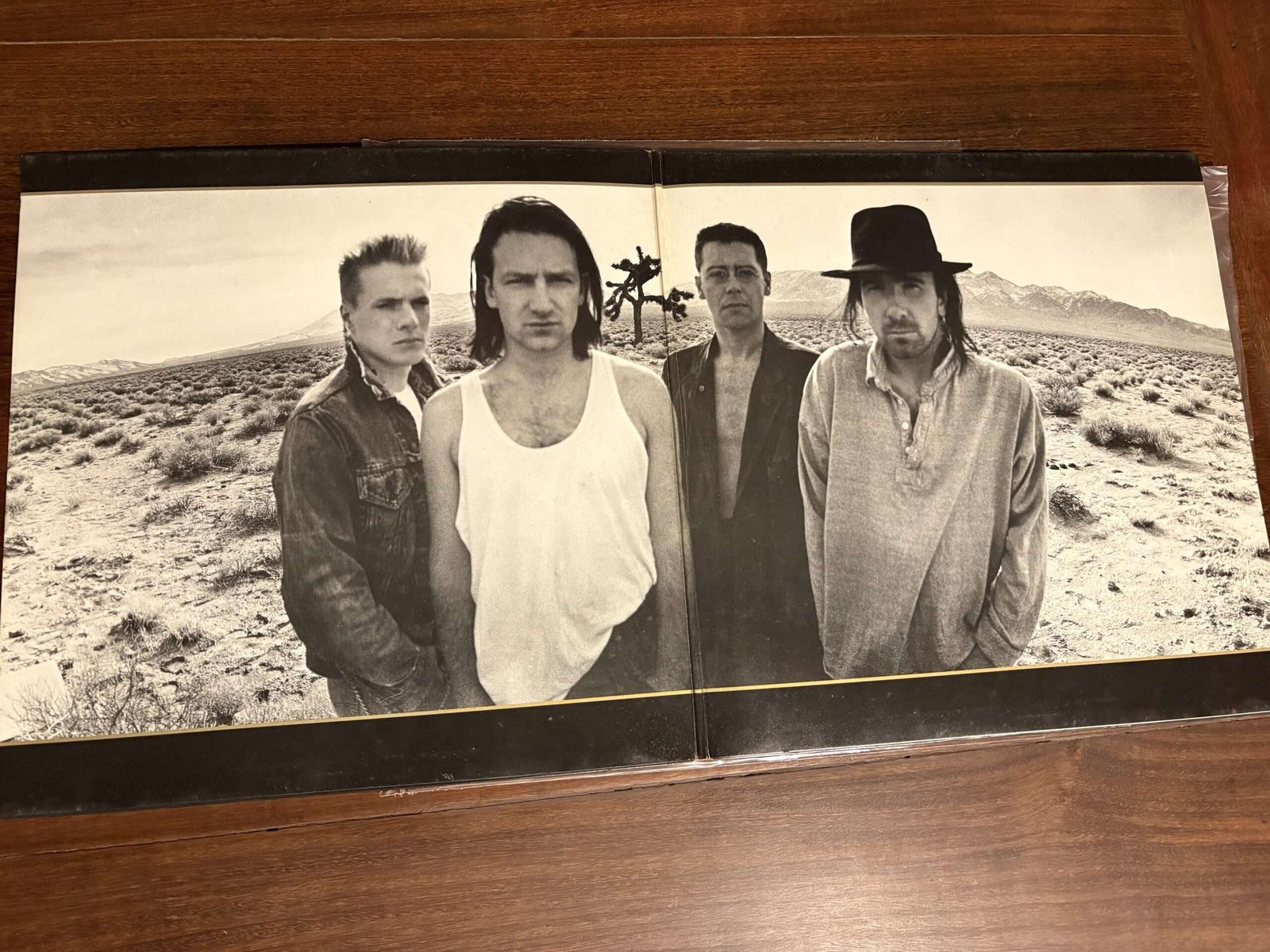 Lp U2 - Joshua Tree (1987) - Imagem 3