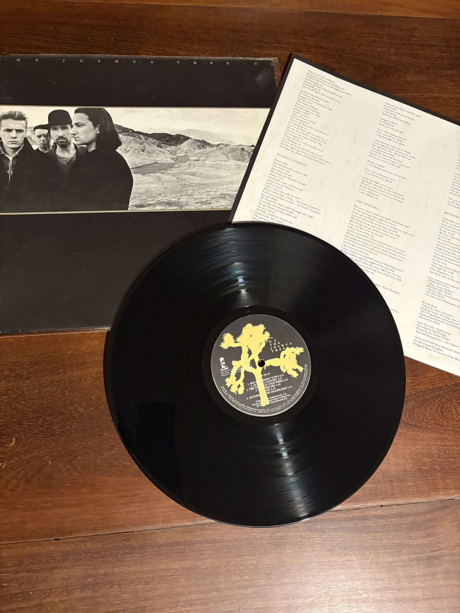 Lp U2 - Joshua Tree (1987) - Imagem 4