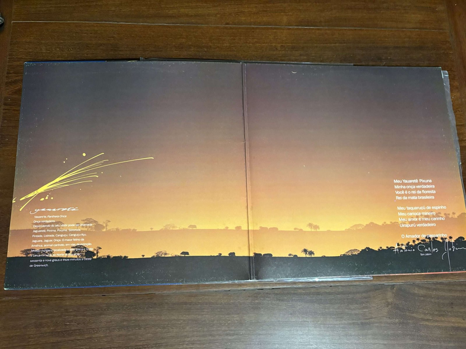 Lp Milton Nascimento - Yauaretê (1987) - Imagem 3